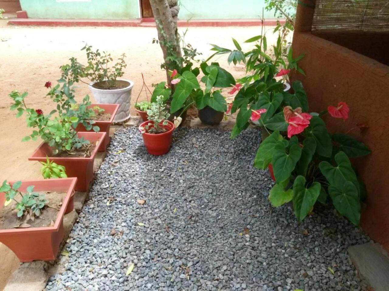 Pawansa Home Stay Habarana Exteriör bild